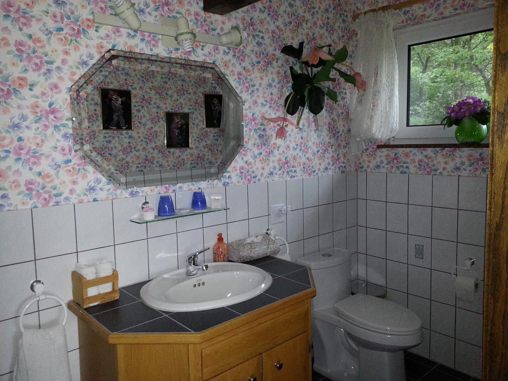 Chalet Rosemarie Нобел Номер фото